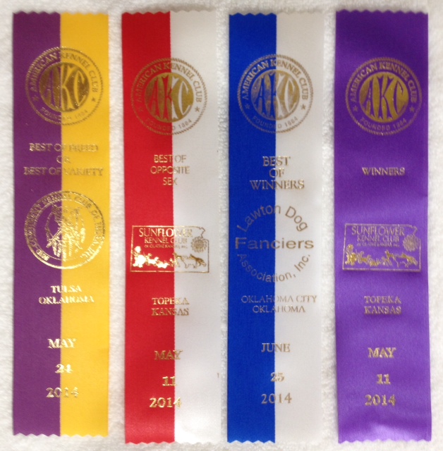 Point Ribbons