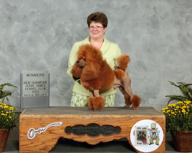 AKC CHAMP