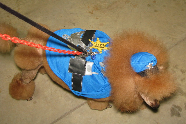Deputy