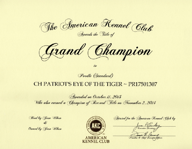 AKC Certificate